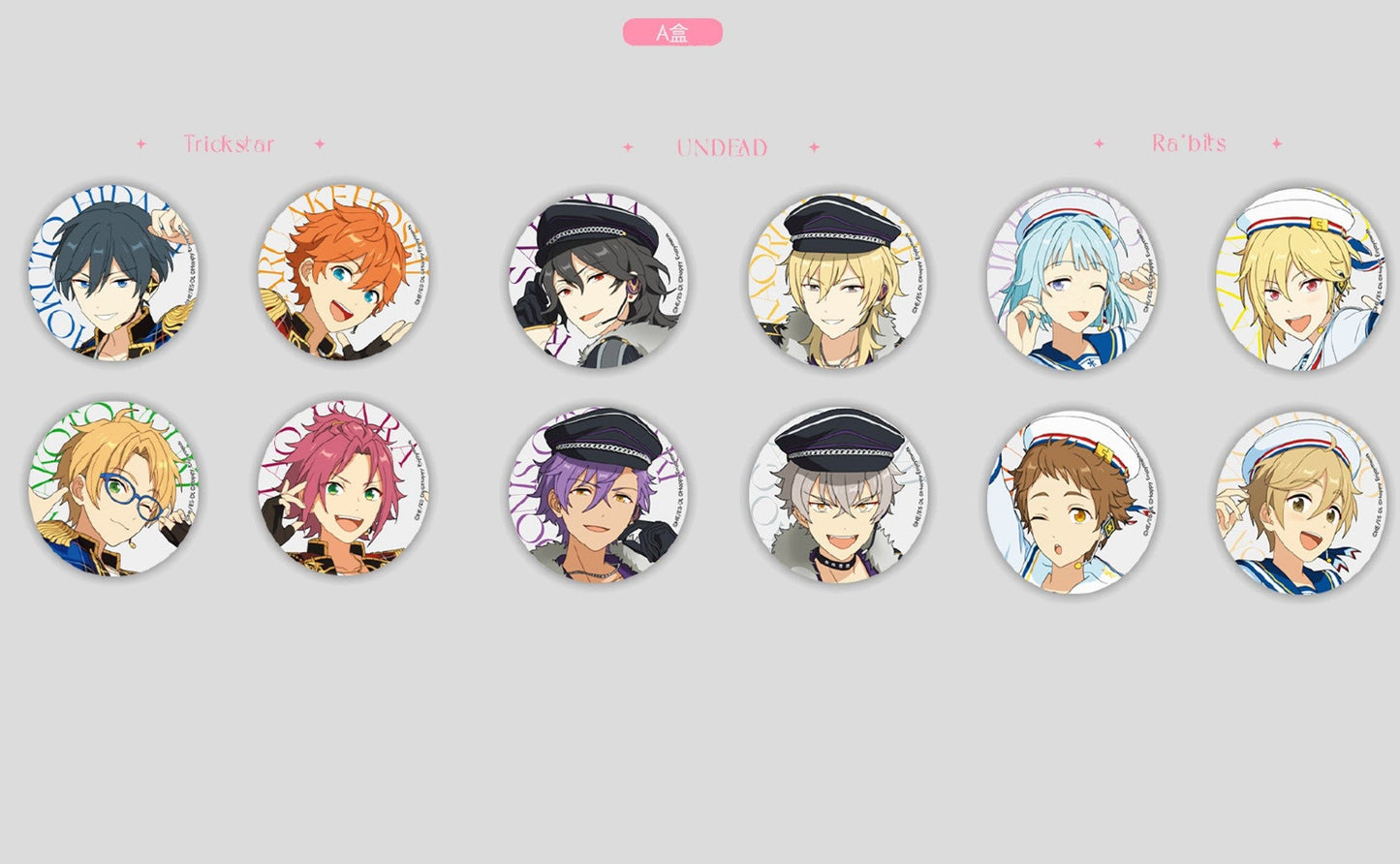 あんさんぶるスターズ!! DREAM LIVE-8th Tour 缶バッジ A BOX 全12種 中国限定商品 萌购